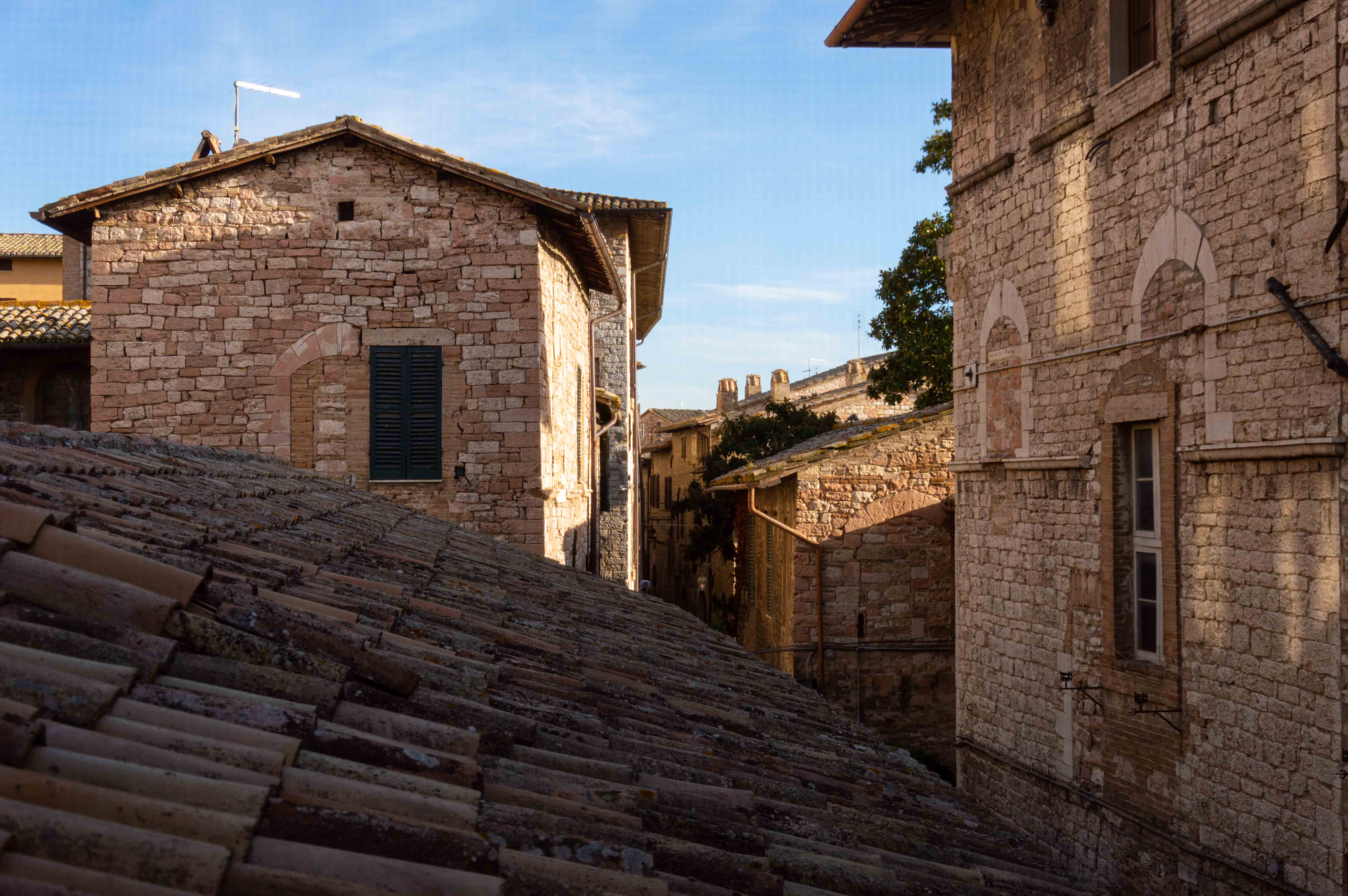 Chiara interno